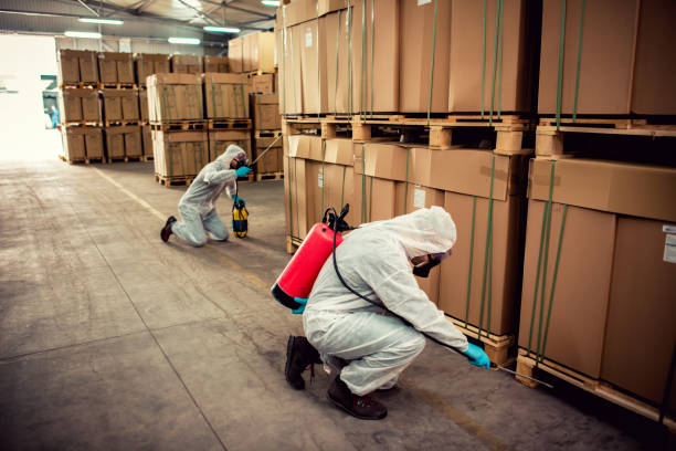 Best Wildlife Control Services  in Fort Stewart, GA