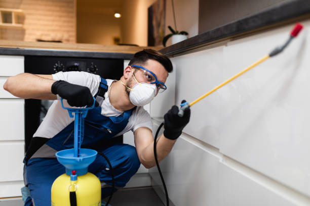 Best Residential Pest Control  in Fort Stewart, GA