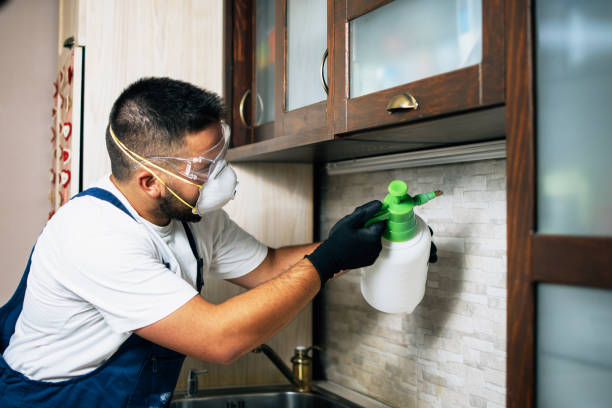 Best Flea Control Services  in Fort Stewart, GA