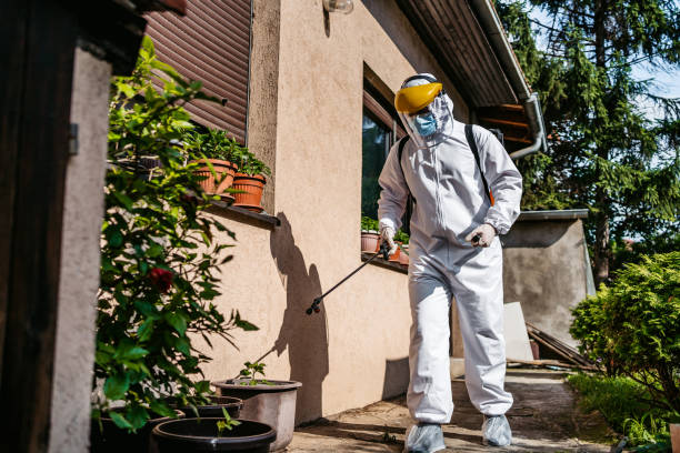 Flea Control Services in Fort Stewart, GA