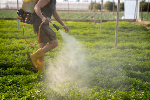 Pest Prevention Services in Fort Stewart, GA